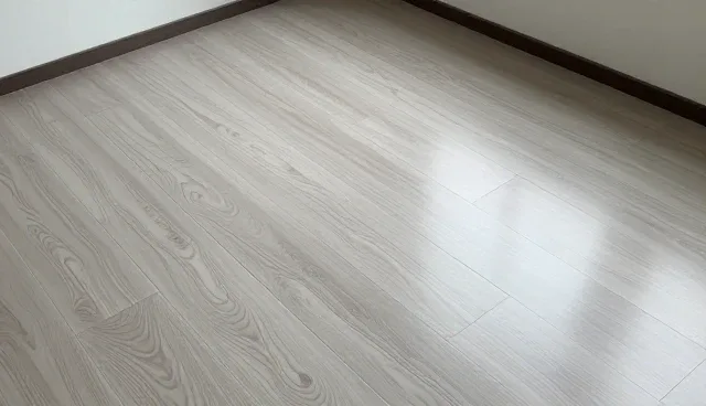 体验:系统实施中的使用与维护建议